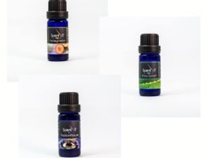 Summer Scents